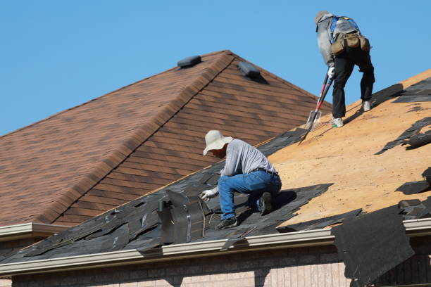 Best Cold Roofs  in Nashville, AR