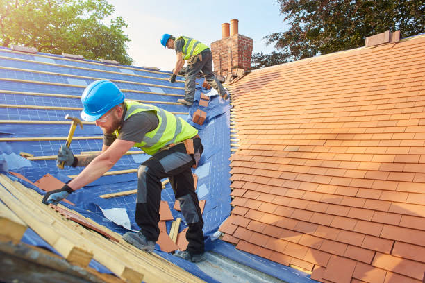 Best Roof Repair  in Nashville, AR